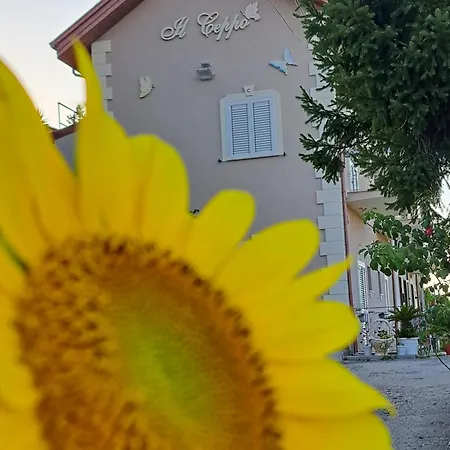 Il Ceppo Sui Sentieri Per Amalfi Oda ve Kahvaltı 3*
