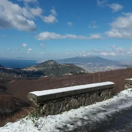 Il Ceppo Sui Sentieri Per Amalfi * Pimonte