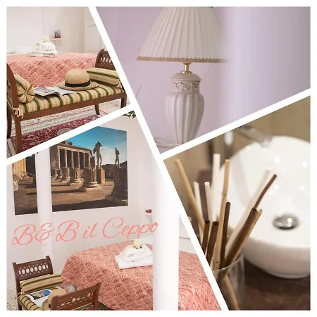 Bed & Breakfast Il Ceppo Sui Sentieri Per Amalfi