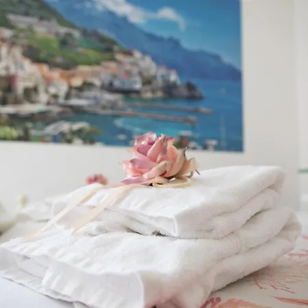 Il Ceppo Sui Sentieri Per Amalfi