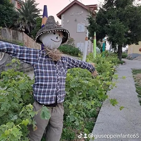 Il Ceppo Sui Sentieri Per Amalfi