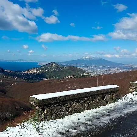 Il Ceppo Sui Sentieri Per Amalfi Pimonte