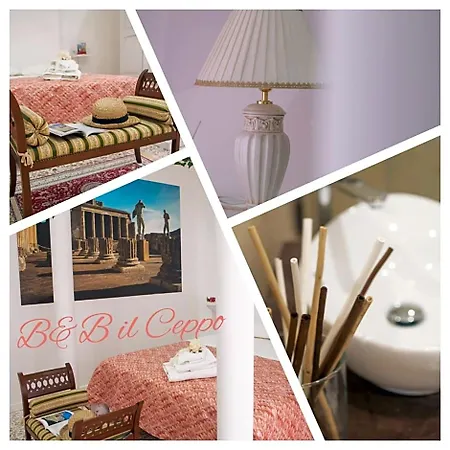 Bed & Breakfast Il Ceppo Sui Sentieri Per Amalfi 3*