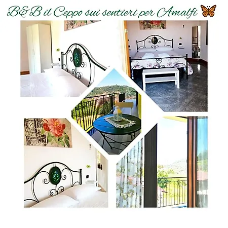 Il Ceppo Sui Sentieri Per Amalfi Pimonte