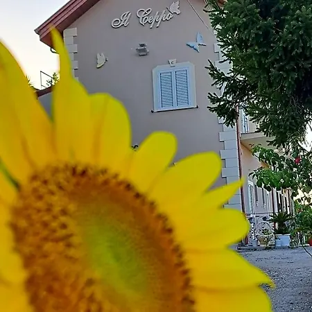 Il Ceppo Sui Sentieri Per Amalfi 3* Pimonte