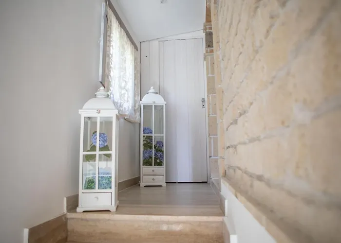 Il Ceppo Sui Sentieri Per Amalfi