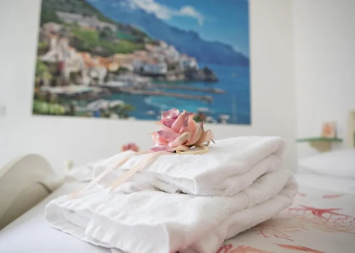 Il Ceppo Sui Sentieri Per Amalfi