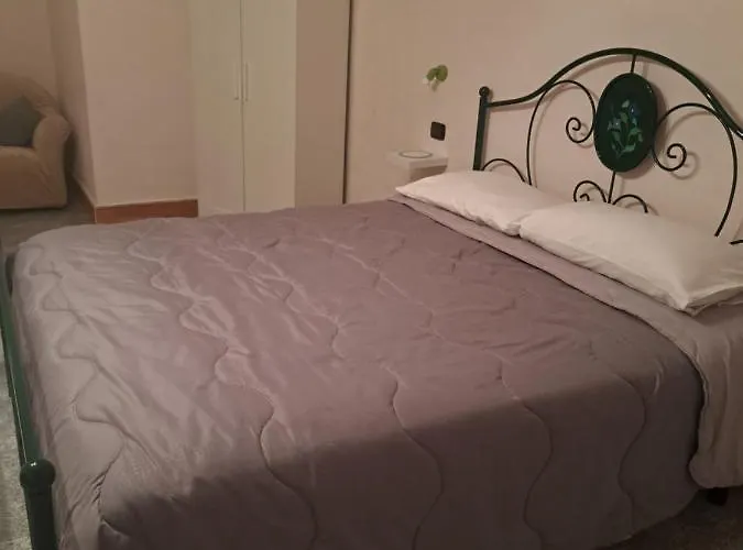 Il Ceppo Sui Sentieri Per Amalfi