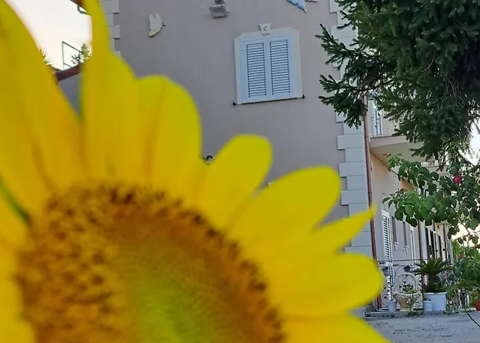 Il Ceppo Sui Sentieri Per Amalfi Bed and Breakfast 3*